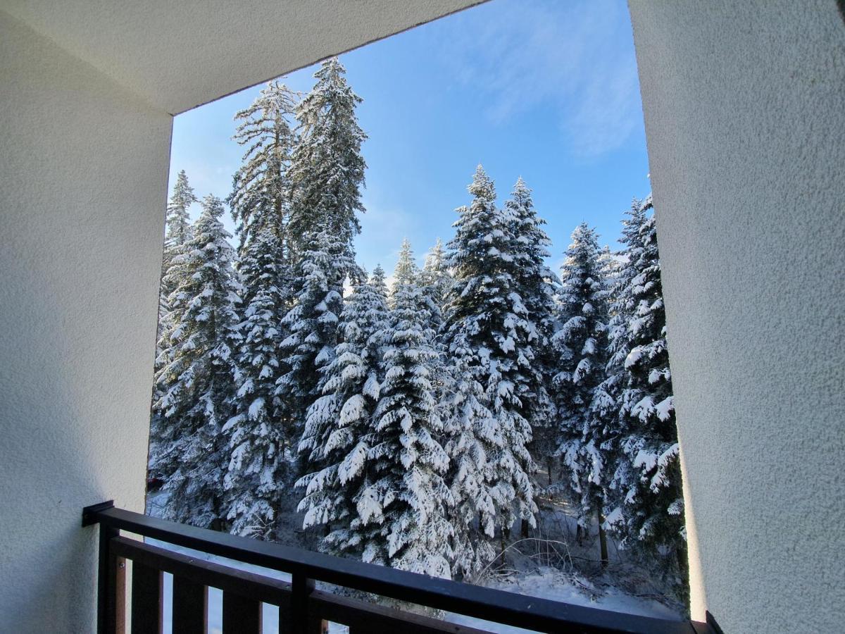 Pinewood Ang Luxurious Apartment A43, Borovets Gardens Zewnętrze zdjęcie