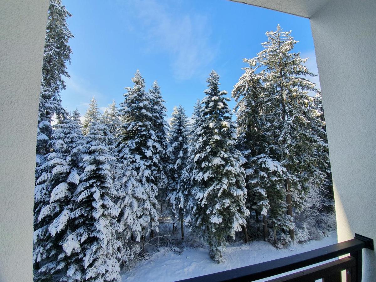 Pinewood Ang Luxurious Apartment A43, Borovets Gardens Zewnętrze zdjęcie