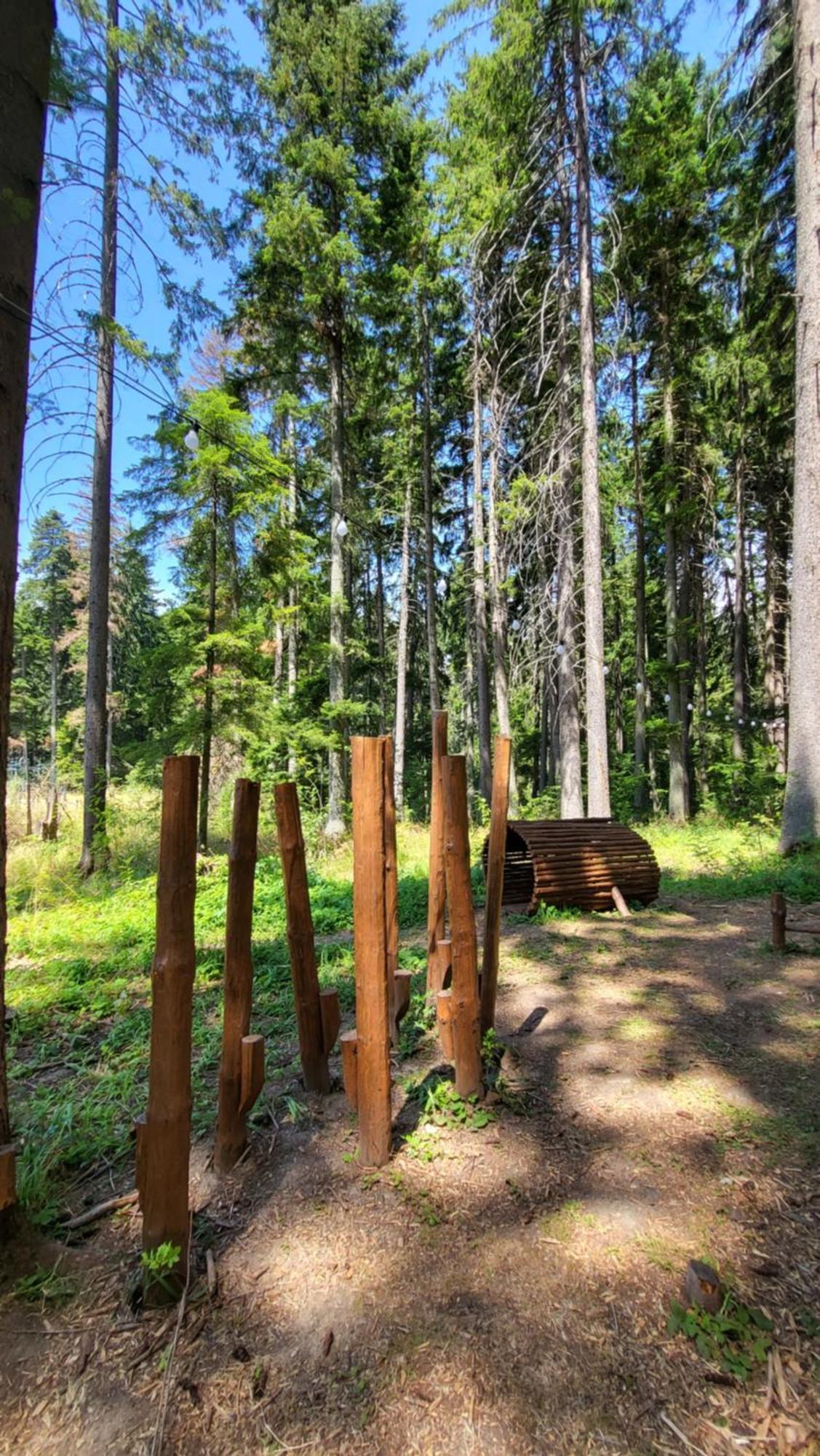 Pinewood Ang Luxurious Apartment A43, Borovets Gardens Zewnętrze zdjęcie
