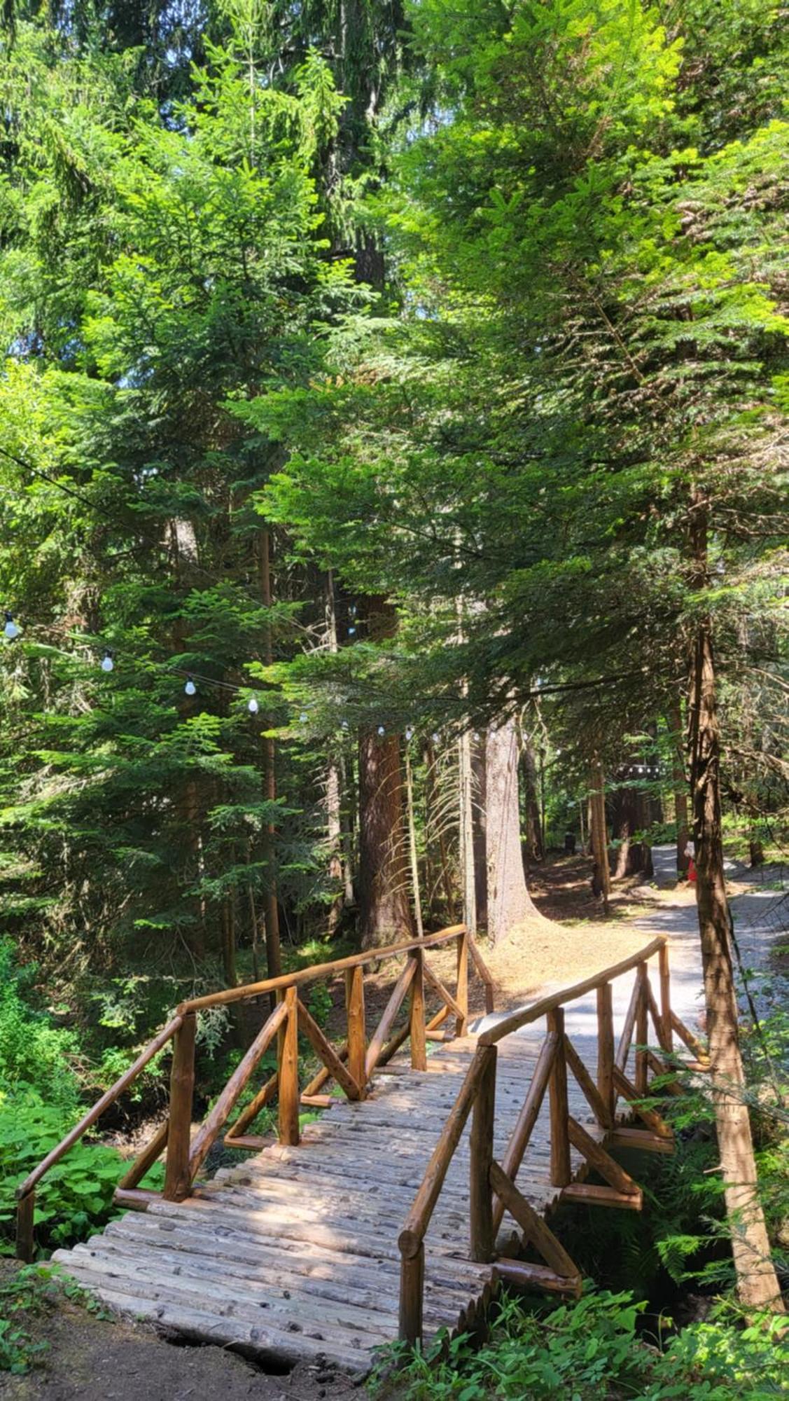 Pinewood Ang Luxurious Apartment A43, Borovets Gardens Zewnętrze zdjęcie